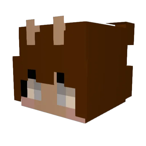 JOIIIBOIII Minecraft avatar head, 3D render