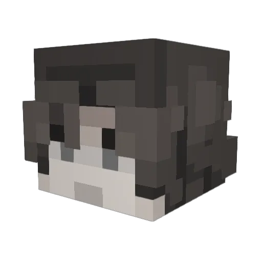 JOJUnderjoyed Minecraft avatar head, 3D render
