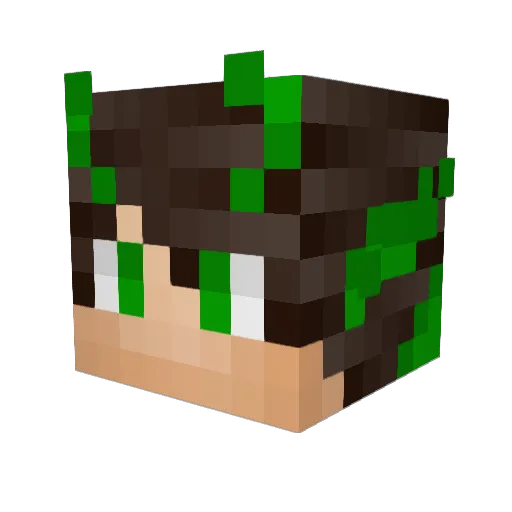 JOKERS500 Minecraft avatar head, 3D render