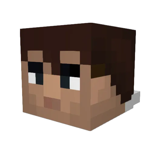 JOKERxMATRIX Minecraft avatar head, 3D render