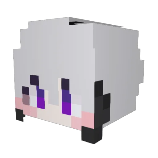 JOLAENG5 Minecraft avatar head, 3D render