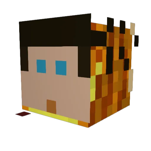 JONA462 Minecraft avatar head, 3D render