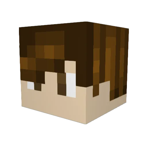 JONAS_V99 Minecraft avatar head, 3D render