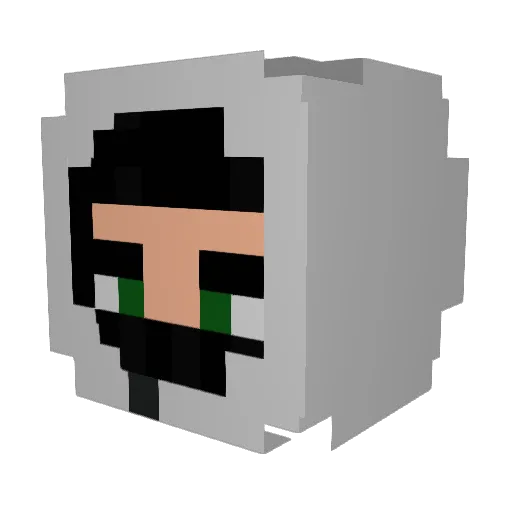 JONI_FLOH Minecraft avatar head, 3D render