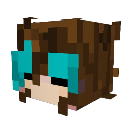 JORTheLoaYT Minecraft avatar head, 3D render