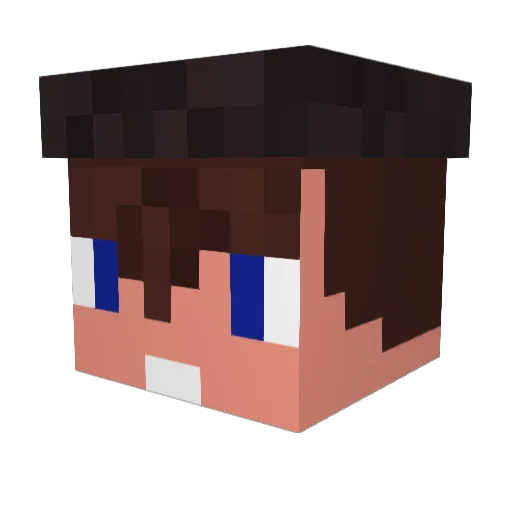 JOSE73 Minecraft avatar head, 3D render