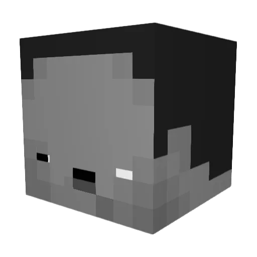 JP99_Gamer11 Minecraft avatar head, 3D render