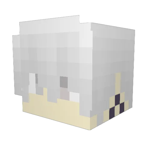 JPHS1998 Minecraft avatar head, 3D render