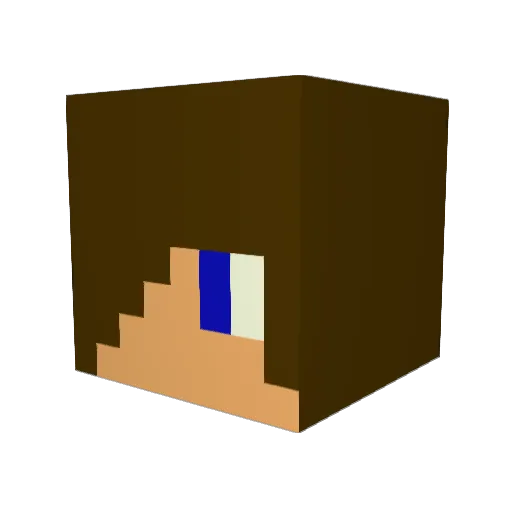 JPL00 Minecraft avatar head, 3D render