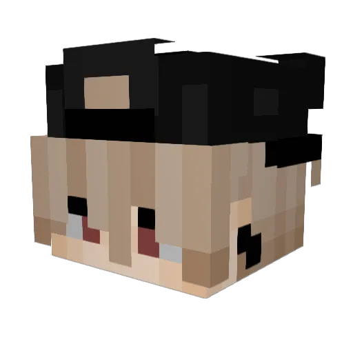 JPPooH Minecraft avatar head, 3D render