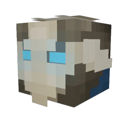 JPS_SILENT Minecraft avatar head, 3D render