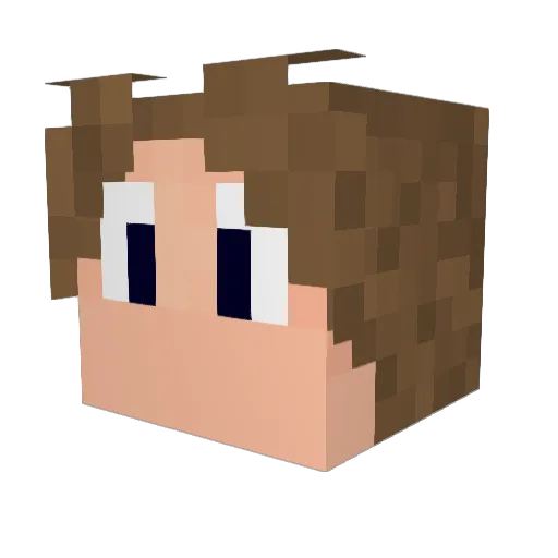 JPTropic Minecraft avatar head, 3D render