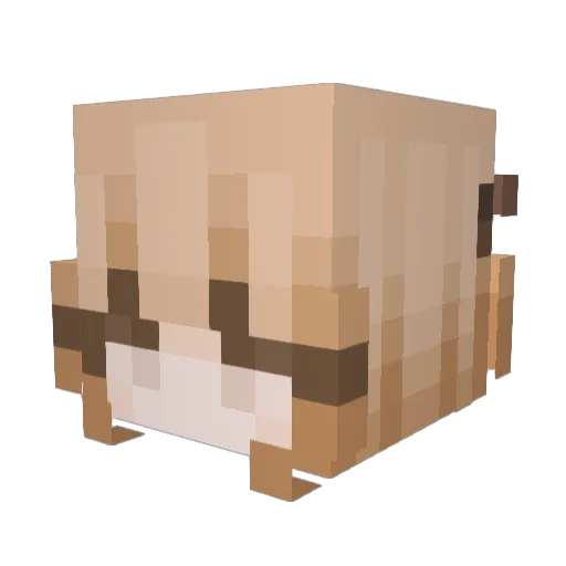 JPkanna Minecraft avatar head, 3D render