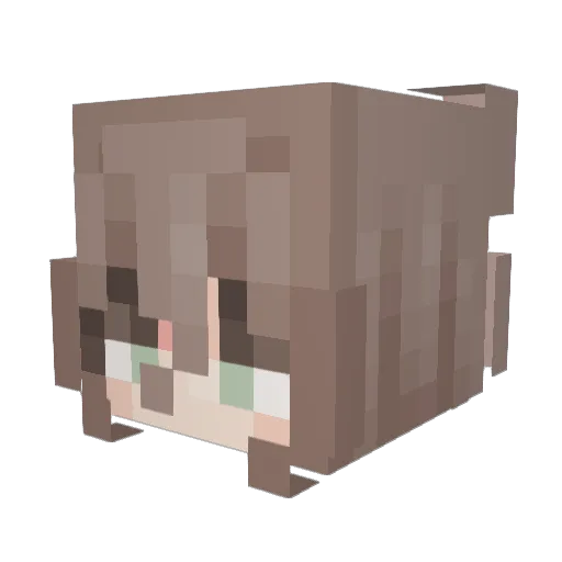 JPrincess333 Minecraft avatar head, 3D render