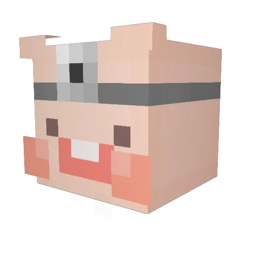 JQwits Minecraft avatar head, 3D render
