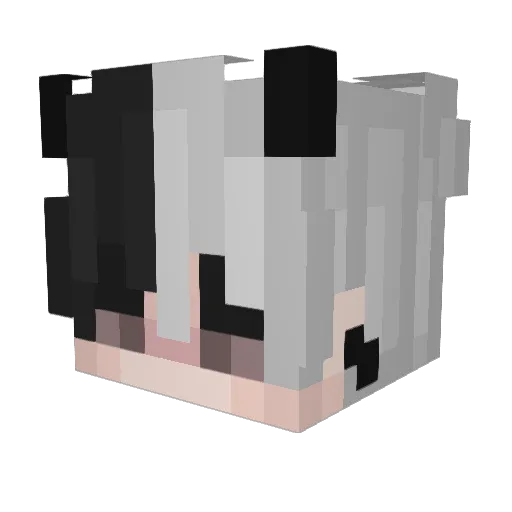 JRAC95 Minecraft avatar head, 3D render
