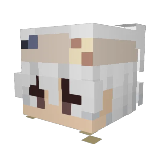 JRDNSMELLS Minecraft avatar head, 3D render