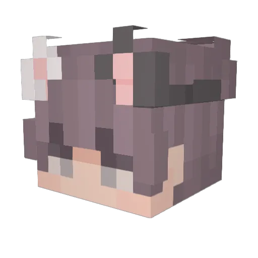 JRGVNCJ Minecraft avatar head, 3D render
