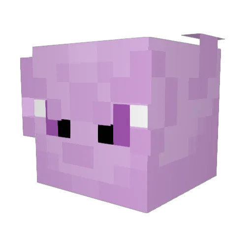 JRO14 Minecraft avatar head, 3D render