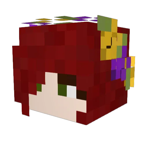 JRTO_ Minecraft avatar head, 3D render