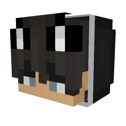 JRWolfie17 Minecraft avatar head, 3D render