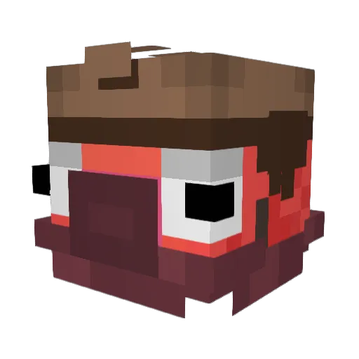JR_LEM Minecraft avatar head, 3D render