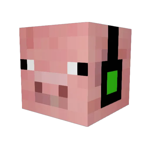 JR__Pig Minecraft avatar head, 3D render