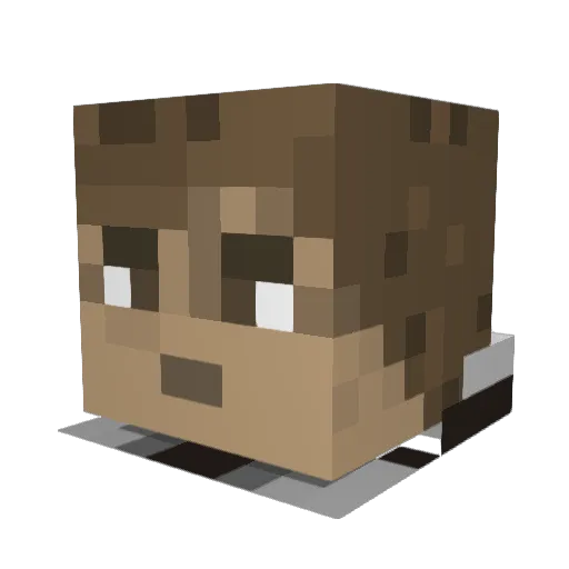 JRabe Minecraft avatar head, 3D render