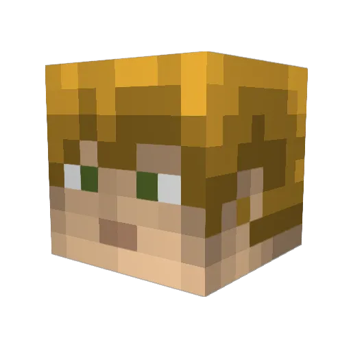 JRafa2013 Minecraft avatar head, 3D render