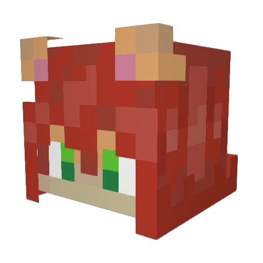 JRod98gg Minecraft avatar head, 3D render