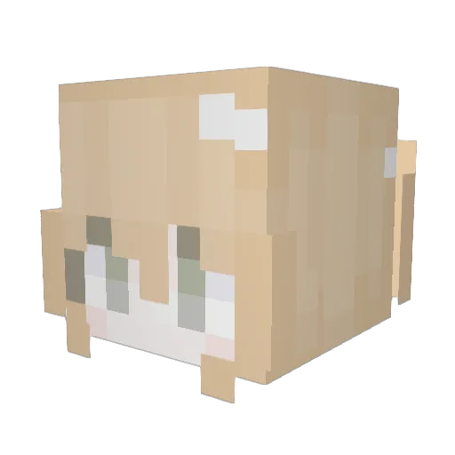 JSKASDASDSJI Minecraft avatar head, 3D render