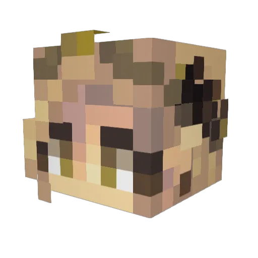 JSM15 Minecraft avatar head, 3D render