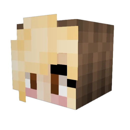 JSTynha Minecraft avatar head, 3D render