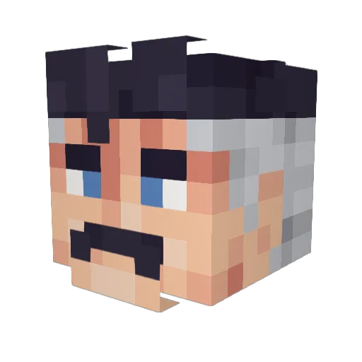 JSWOLEE Minecraft avatar head, 3D render