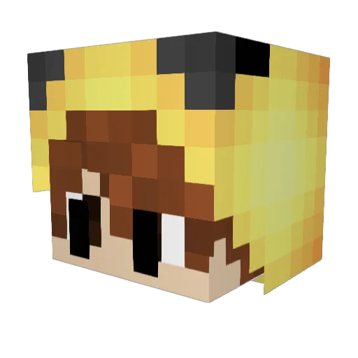 JS_5835 Minecraft avatar head, 3D render