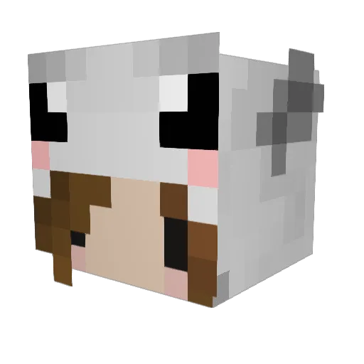 JSimba24 Minecraft avatar head, 3D render