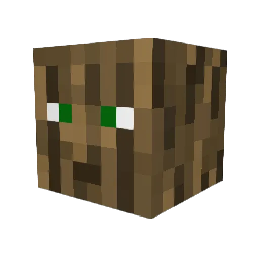 JT123456789 Minecraft avatar head, 3D render