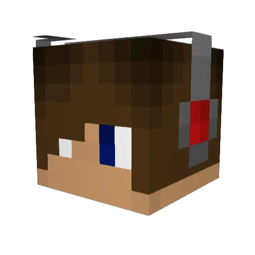 JTC288 Minecraft avatar head, 3D render