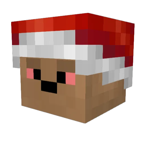 JTEO Minecraft avatar head, 3D render