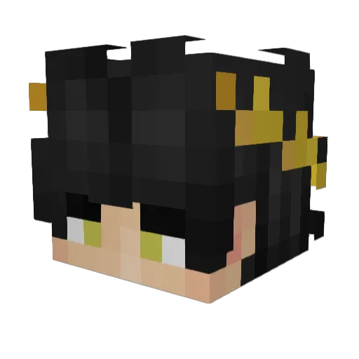 JTFlow Minecraft avatar head, 3D render