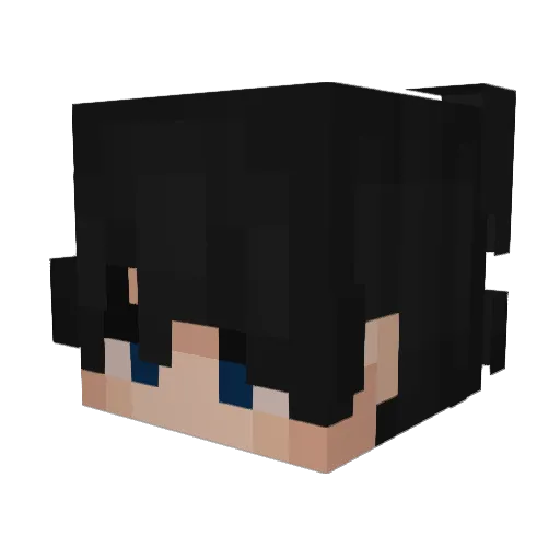 JTPower1425 Minecraft avatar head, 3D render