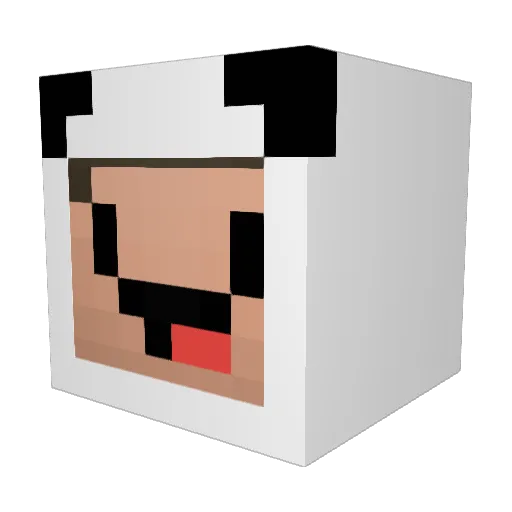 JTSBLUE25 Minecraft avatar head, 3D render