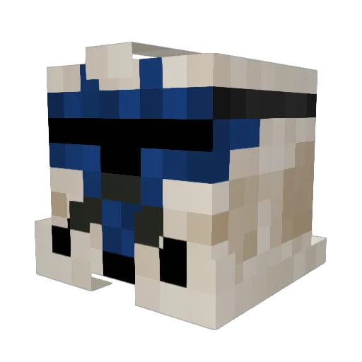 JTS_1998 Minecraft avatar head, 3D render