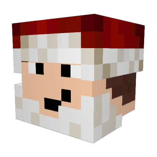 JTSkyman14 Minecraft avatar head, 3D render