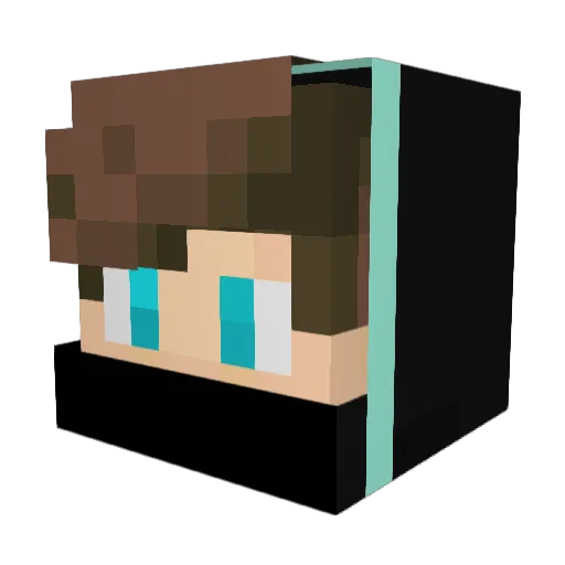 JTY2013 Minecraft avatar head, 3D render