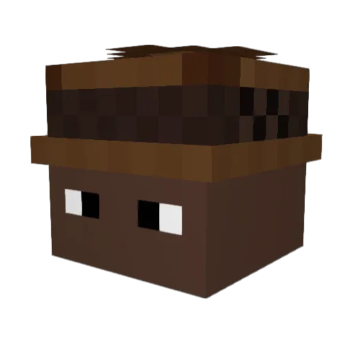 JT_Rova Minecraft avatar head, 3D render
