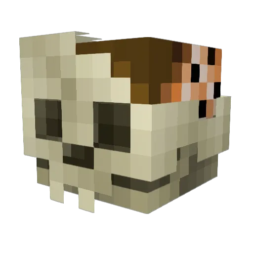 JT_dogg Minecraft avatar head, 3D render