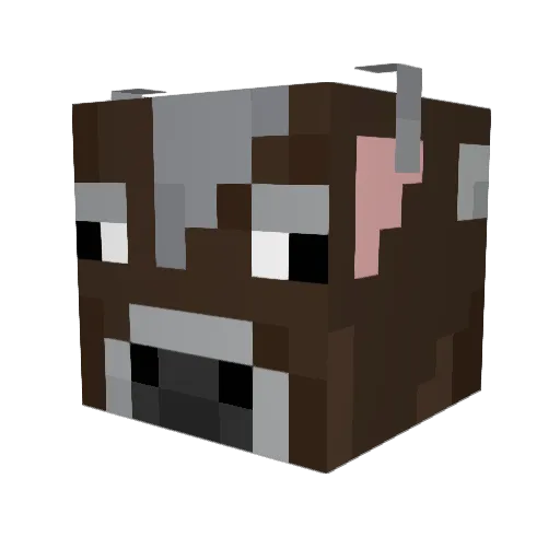 JTinkers Minecraft avatar head, 3D render