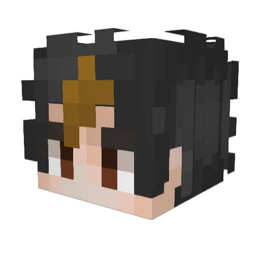 JUANAKO Minecraft avatar head, 3D render