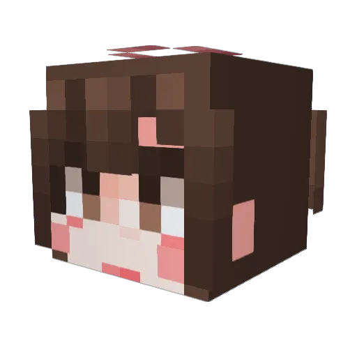 JUDY_95 Minecraft avatar head, 3D render